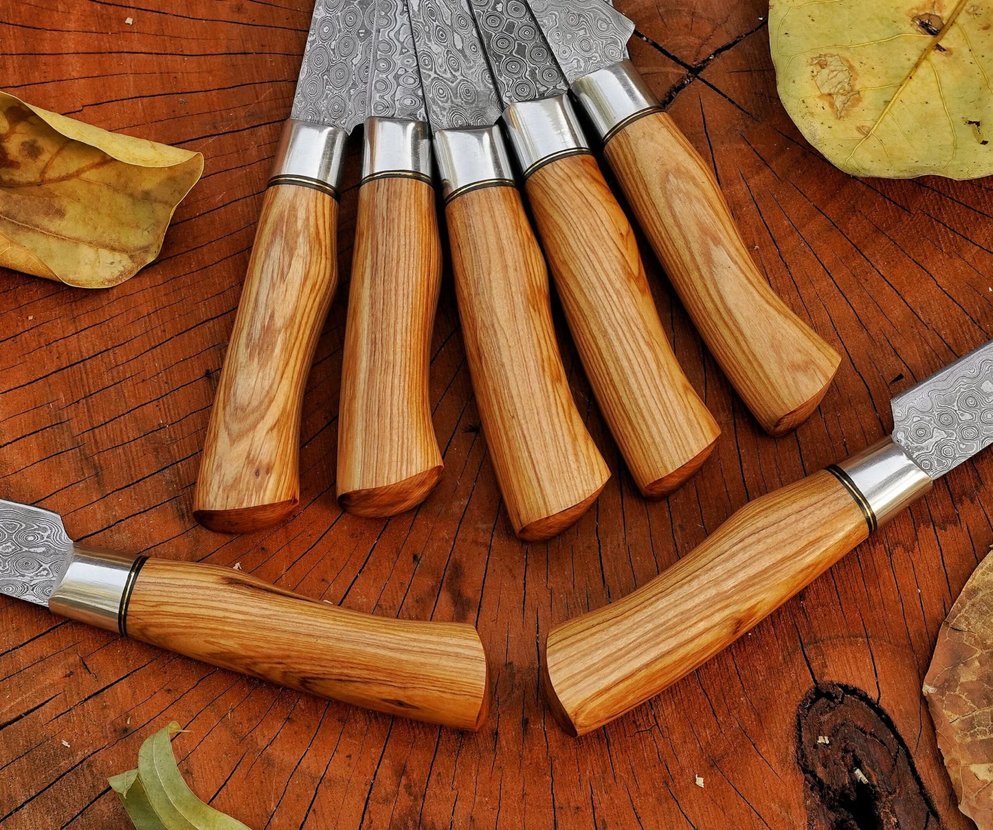 Professional chef knives set