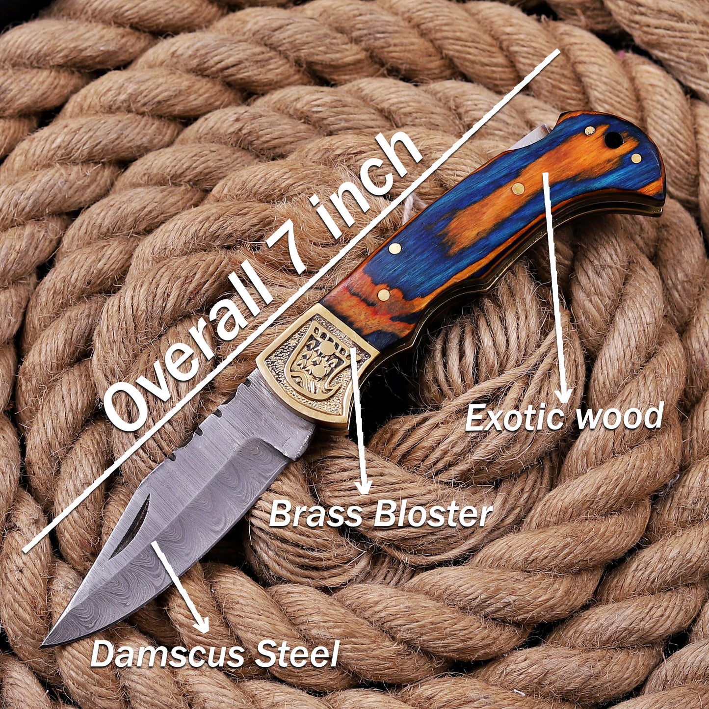 Handmade Damascus Steel Folding Knife Colorful Exotic Wood Handle